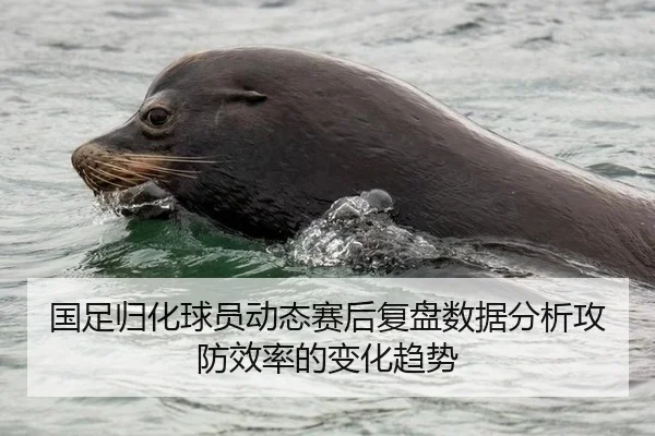 国足归化球员动态赛后复盘数据分析攻防效率的变化趋势