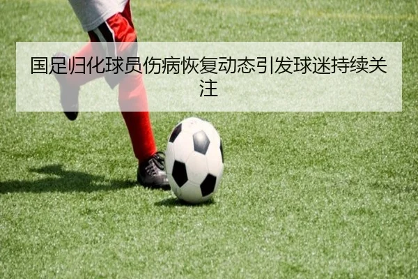 国足归化球员伤病恢复动态引发球迷持续关注